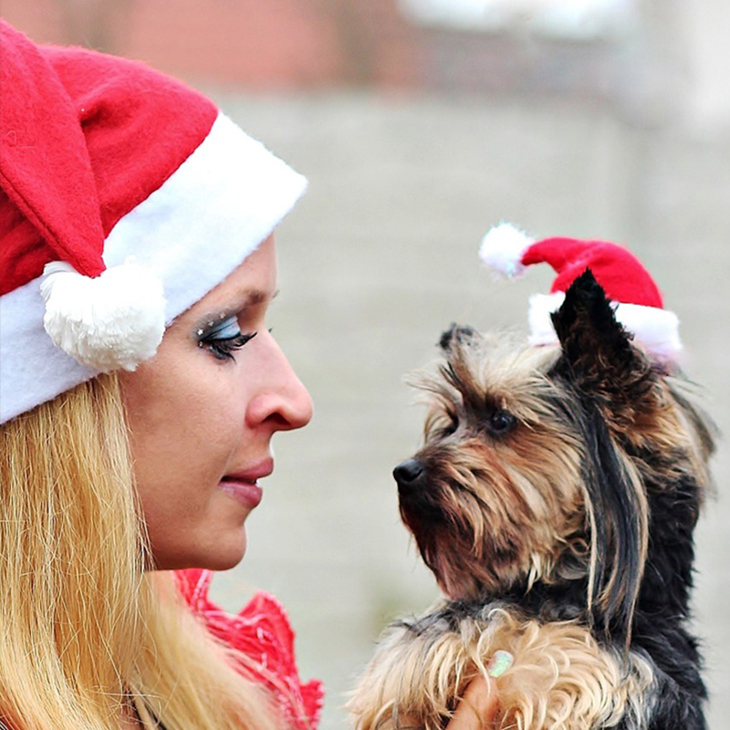 1-20PCS Christmas Pet Santa Ha - Santa Hat Plush ulasan dan harga